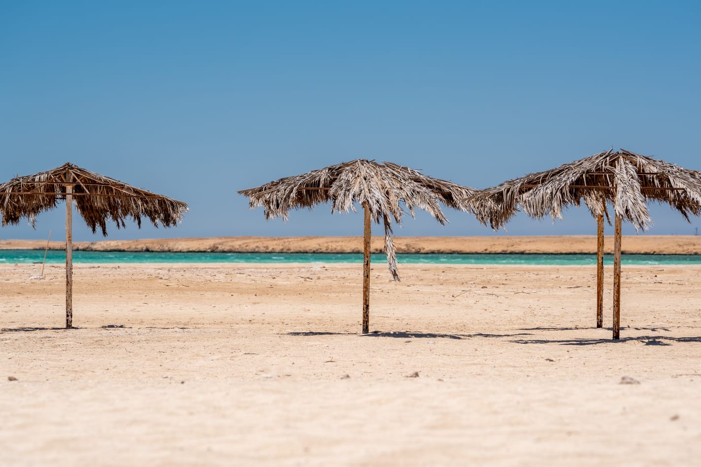 Palm-thatch umbrellas on an empty Red Sea beach
